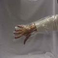 Plastic OB Sleeves w/Gloves