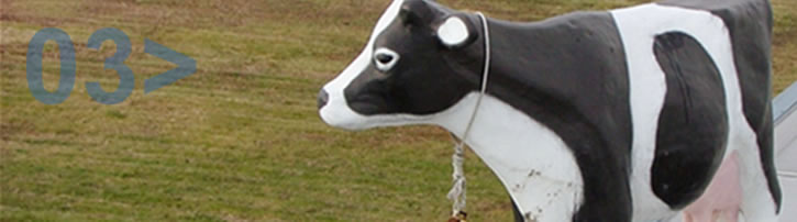 Our Cow